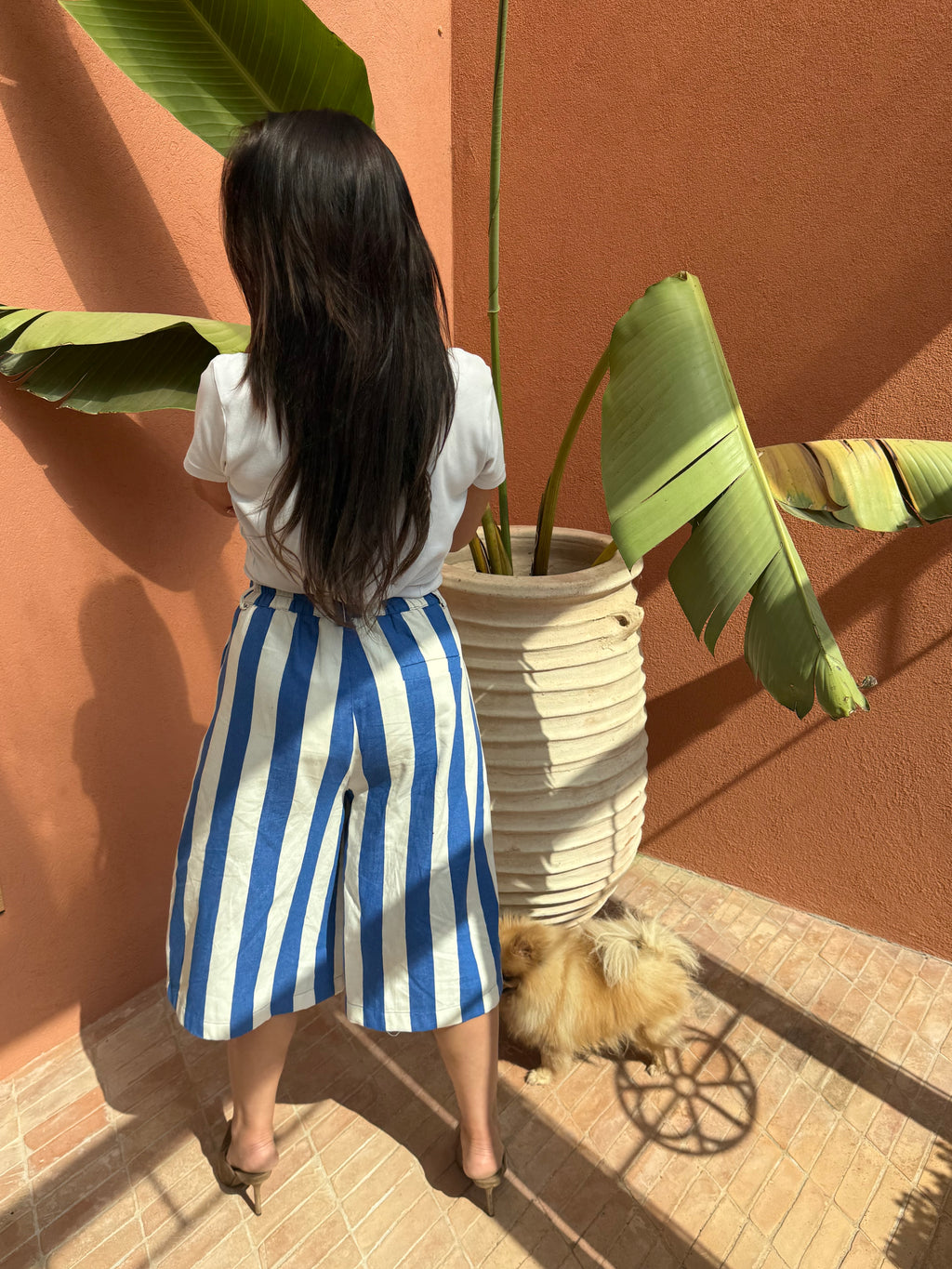 Bermuda Livy blue